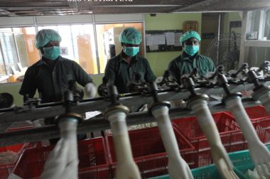 Glove Stripping